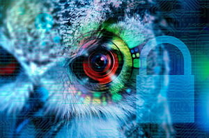 An owl's eye with a colorful eyeball